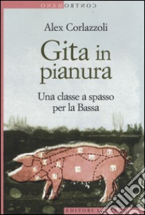 Gita in pianura. Una classe a spasso per la Bassa libro di Corlazzoli Alex