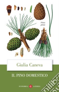 Il pino domestico libro di Caneva Giulia