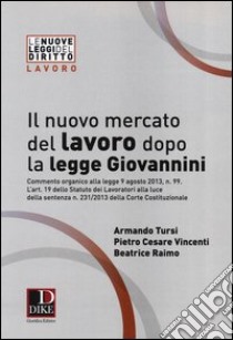 Il nuovo mercato del lavoro dopo la legge Giovannini libro di Tursi Armando; Vincenti Pietro Cesare; Raimo Beatrice