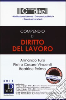 Compendio di diritto del lavoro libro di Tursi Armando; Vincenti Pietro Cesare; Raimo Beatrice