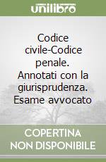 Codice civile-Codice penale. Annotati con la giurisprudenza. Esame avvocato libro