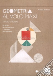 Geometria al volo maxi. 80 parole per comprendere il linguaggio della geometria. Spazio e figure libro di Bortolato Camillo