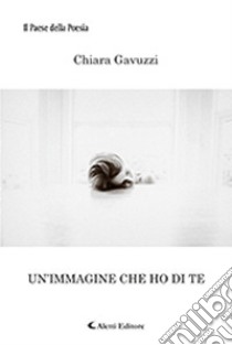 Un'immagine che ho di te libro di Gavuzzi Chiara