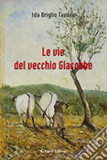 Le vie del vecchio Giacobbe libro di Briglio Tavano Ida