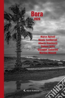 Bora 2020 libro