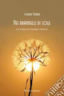 Nei brandelli di sole libro di Parra Chiara