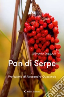 Pan di Serpe libro di Loppoli Silvano