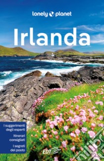 Irlanda libro di Davenport Fionn; Albiston Isabel; Wilson Neil