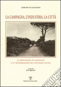 La campagna, l'industria, la città. La popolazione di Calenzano e le trasformazioni del ventesimo secolo libro di Tognarini I. (cur.)