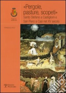 «Pergole, pasture, scopeti». Santo Stefano a Castiglioni e San Piero a Casi nel XV secolo libro di Ricci Francesco