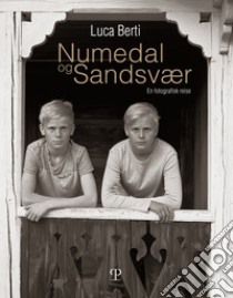 Numedal og Sandsvær. En fotografisk reise. Ediz. illustrata libro di Berti Luca