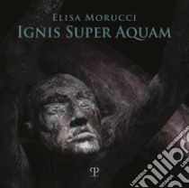 Elisa Morucci. Ignis super aquam. Ediz. italiana e inglese libro di Valentini A. (cur.); Bietoletti S. (cur.)