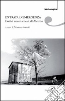 Entrata d'emergenza. Dodici nuovi accessi all'Abruzzo libro di Avenali M. (cur.)