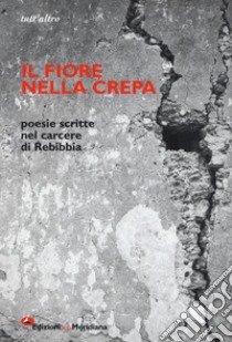 Il fiore nella crepa. Poesie scritte nel carcere di Rebibbia libro di Zingone Z. (cur.)