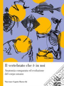 Il vertebrato che è in noi. Anatomia comparata ed evoluzione del corpo umano libro di Caputo Barucchi Vincenzo