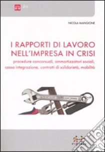 I rapporti di lavoro nell'impresa in crisi. Procedure concorsuali, ammortizzatori sociali, cassa integrazione, contratti di solidarietà, mobilità libro di Mangione Nicola