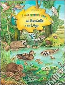 Il mio grande libro del ruscello e lago. Ediz. illustrata libro