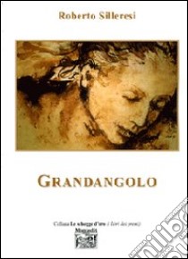 Grandangolo libro di Silleresi Roberto