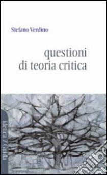 Lettere e lettori. Questioni di teoria e critica per i principianti libro di Verdino Stefano