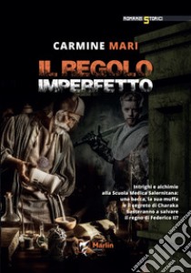 Il regolo imperfetto libro di Mari Carmine