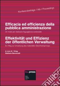 Efficacia ed efficienza della pubblica amministrazione. Un modo per realizzare l'eguaglianza sostanziale libro di Baroncelli S. (cur.)