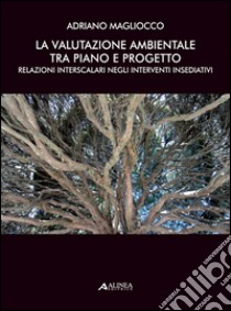 La valutazione ambientale tra piano e progetto. Relazioni interscalari negli interventi insediativi libro di Magliocco Adriano