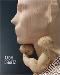 Aron Demetz. Ediz. multilingue libro