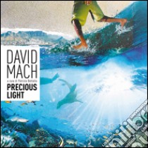 David Mach. Precious light. Ediz. multilingue libro di Bottallo P. (cur.)