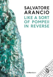 Salvatore Arancio. Like a sort of Pompeii in reverse. Catalogo della mostra (Albissola Marina, 11 luglio-22 settembre 2019). Ediz. italiana e inglese libro di Bochicchio L. (cur.)