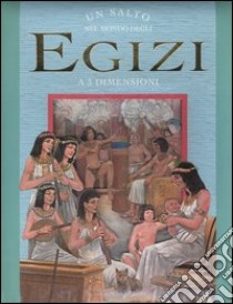 Un salto nel mondo degli egizi. Libro 3D libro di Randall Ronne