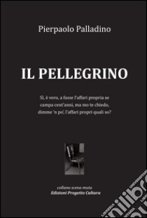 Il pellegrino libro di Palladino Pierpaolo