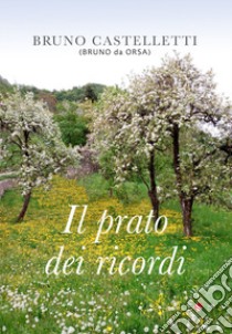 Il prato dei ricordi libro di Castelletti Bruno