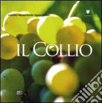 Il Collio libro di Pillon Lucia; Brunello Valentina; Crivellari Massimo