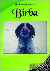 Birba libro di Gamarra Stefano