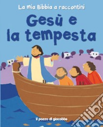 Gesù e la tempesta libro di Rock Lois