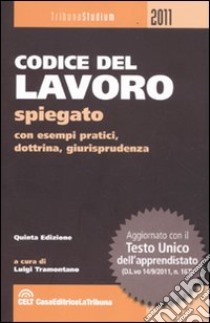 Codice del lavoro spiegato con esempi pratici, dottrina e giurisprudenza libro