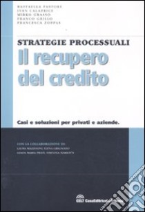 Il recupero del credito. Casi e soluzioni per privati e aziende libro