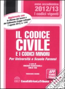 Il codice civile e i codici minori libro