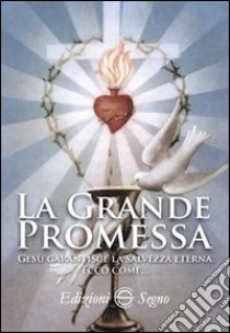 La grande promessa libro