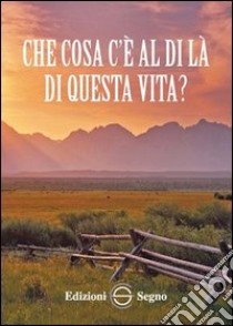 Che cosa c'è al di là di questa vita? libro