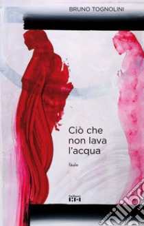 Ciò che non lava l'acqua. Ediz. illustrata libro di Tognolini Bruno