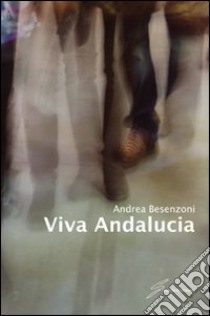 Viva Andalucia libro di Besenzoni Andrea