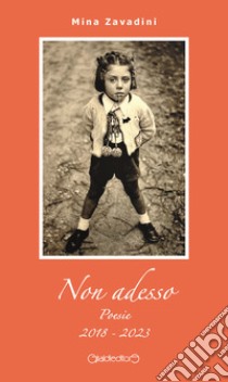 Non adesso. Poesie 2018-2023 libro di Zavadini Mina