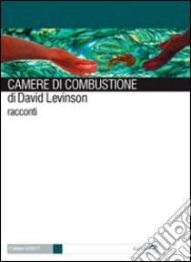 Camere di combustione libro di Levinson David