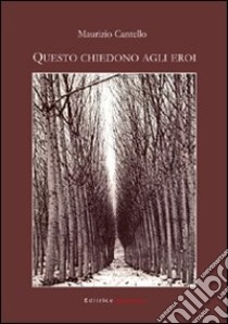 Questo chiedono agli eroi. Ediz. illustrata libro di Cantello Maurizio