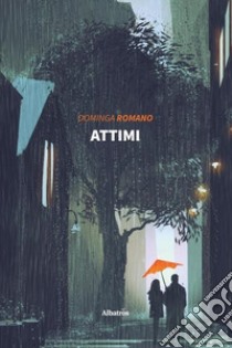 Attimi libro di Romano Dominga