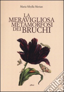 La meravigliosa metamorfosi dei bruchi libro di Merian M. Sibylla; Gregorio M. (cur.)