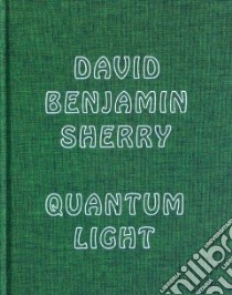 Quantum light. Ediz. illustrata libro di Sherry David B.