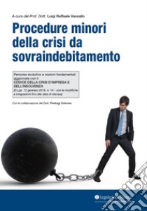 Procedure minori della crisi da sovraindebitamento. Percorso evolutivo e nozioni fondamentali aggiornate con il Codice della crisi d'impresa e dell'insolvenza libro di Vassallo Luigi Raffele