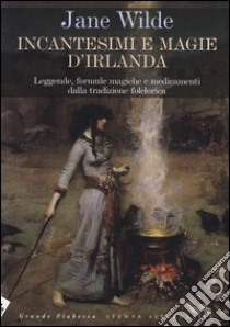 Incantesimi e magie d'Irlanda. Leggende, formule magiche e medicamenti della tradizione folclorica libro di Wilde Jane